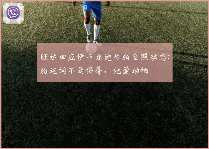 旺达回应伊卡尔迪母狗合照动态：狗这词不是侮辱，他爱动物